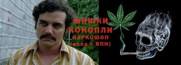 эйфоретик Арсеньев