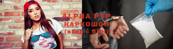 эйфоретик Арсеньев
