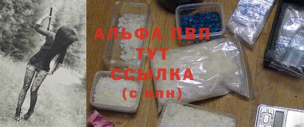 эйфоретик Арсеньев