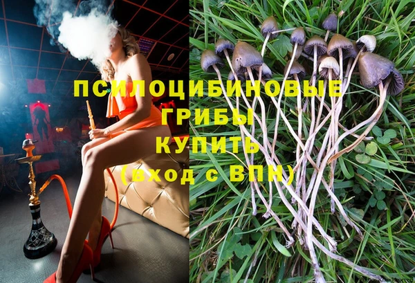 эйфоретик Аркадак
